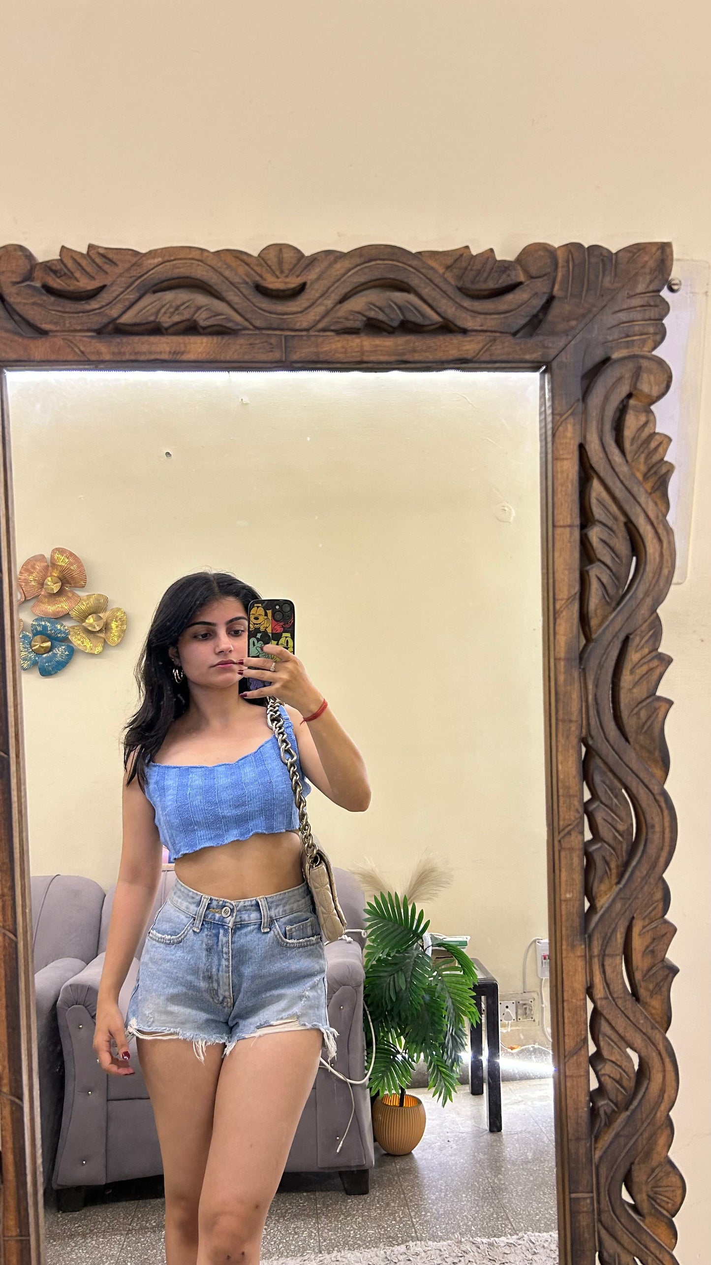 Cute top 28-32 bust (short length)
